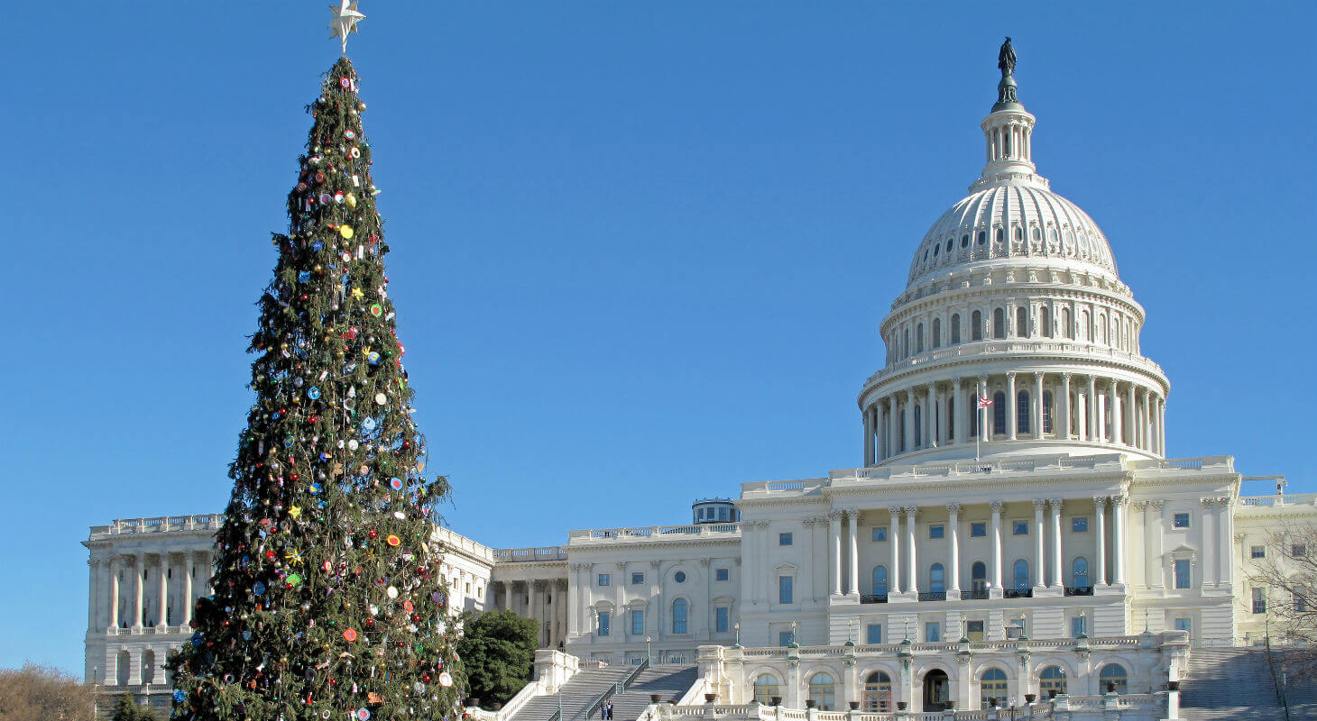 Christmas tree outside of Capitol Building