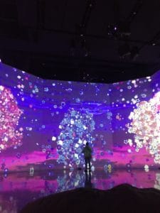Interactive art exhibit showing digital cherry blossoms on floor length screens.