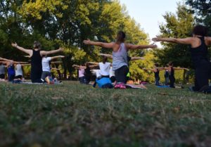 There are free weekly Yoga classes at the Botanic Garden.