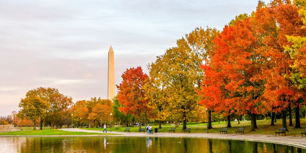 the best Things to do in Washington DC near our Washington DC Bed and Breakfast