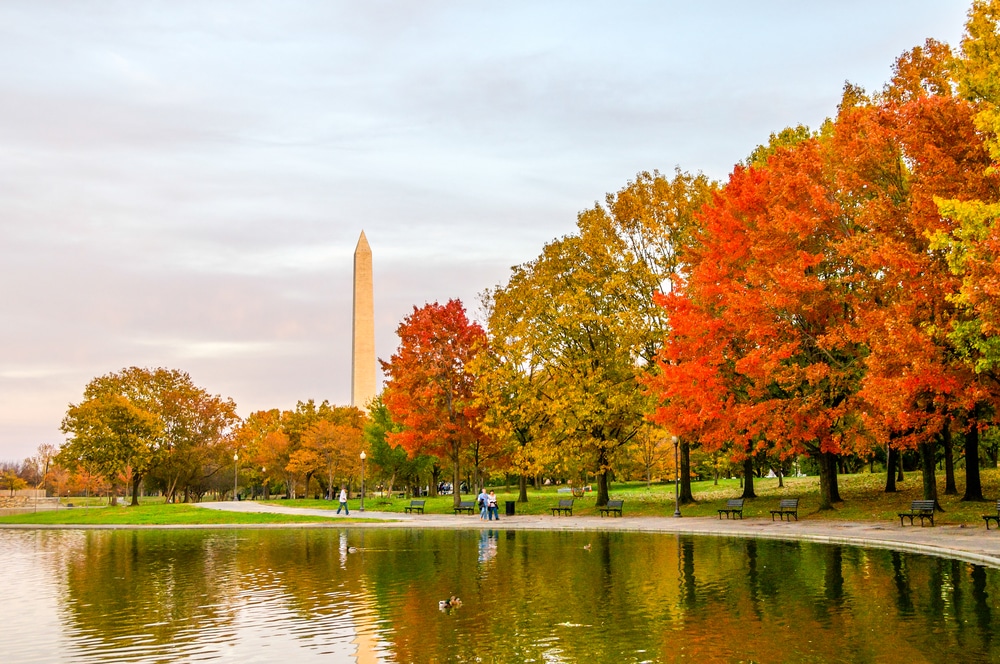 the best Things to do in Washington DC near our Washington DC Bed and Breakfast