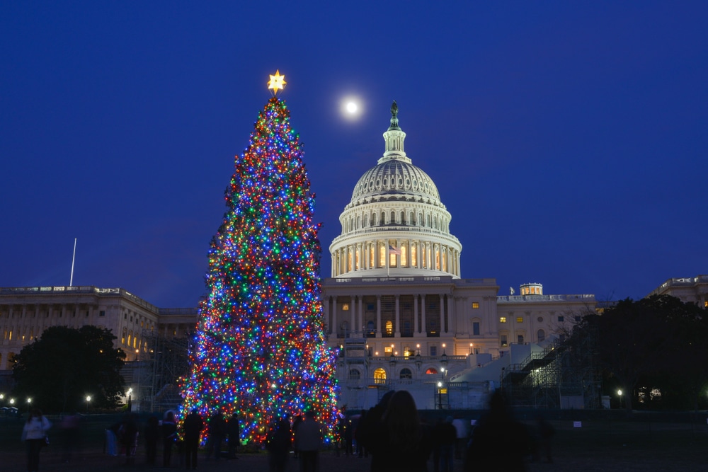 Washington DC Bed and Breakfast, photo of the Capital Christmas tree 